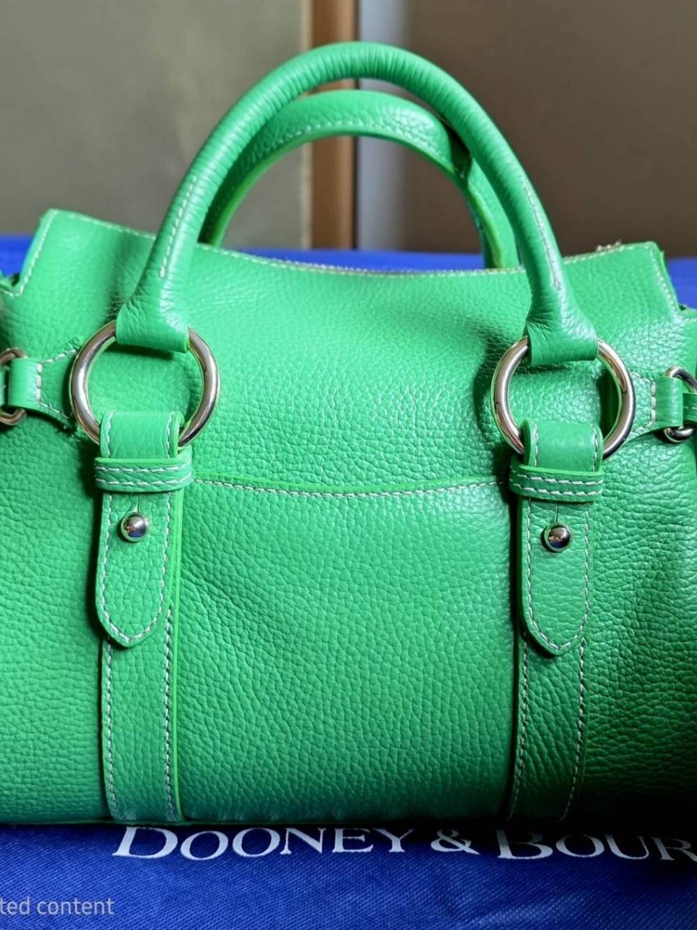 *NWT* Dooney & Bourke (Kelly Green) Lucca Satchel - Picture 4 of 7